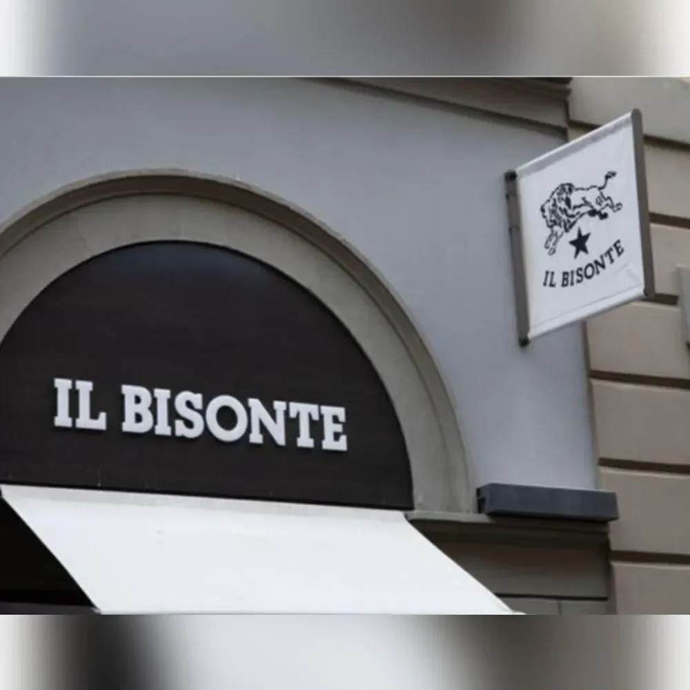 IL BISONTE il bisonte