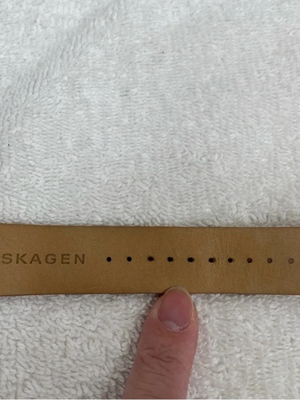 Skagen ***needs new