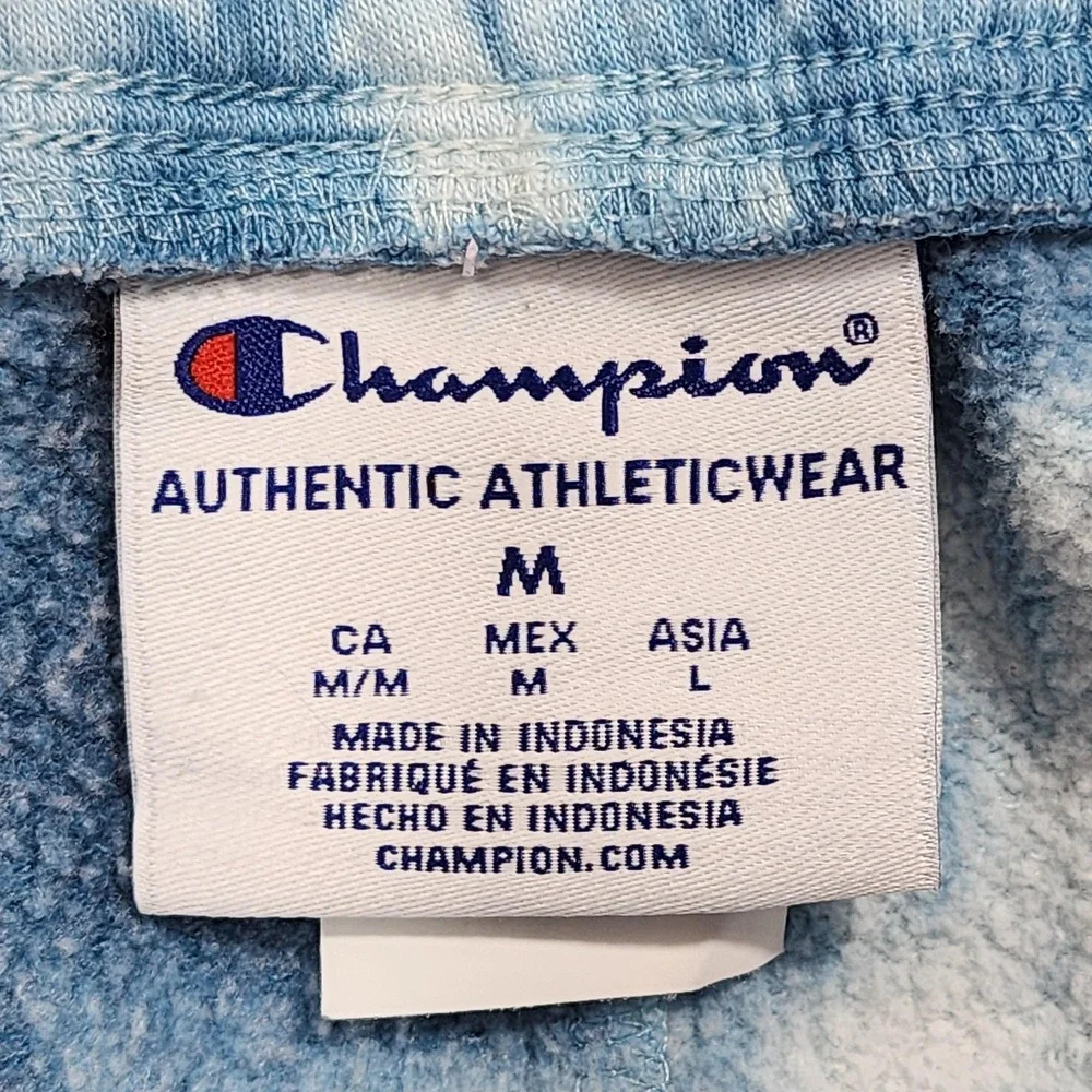 Champion shorts mens