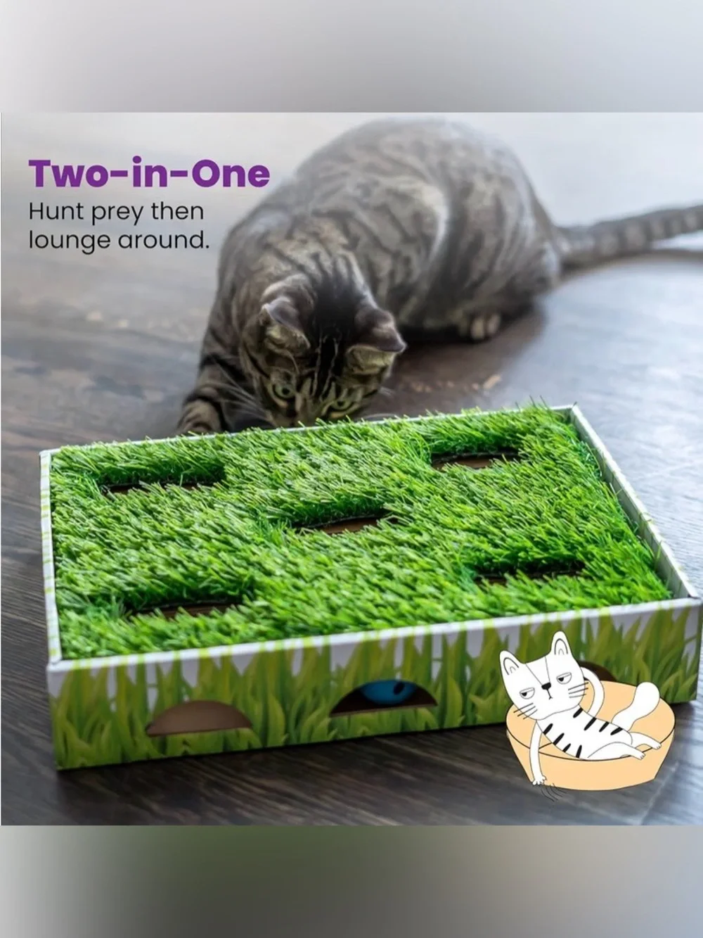 Catstages several fun