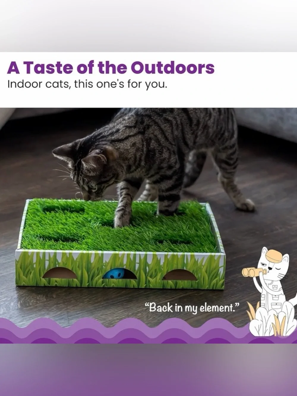 Catstages several fun