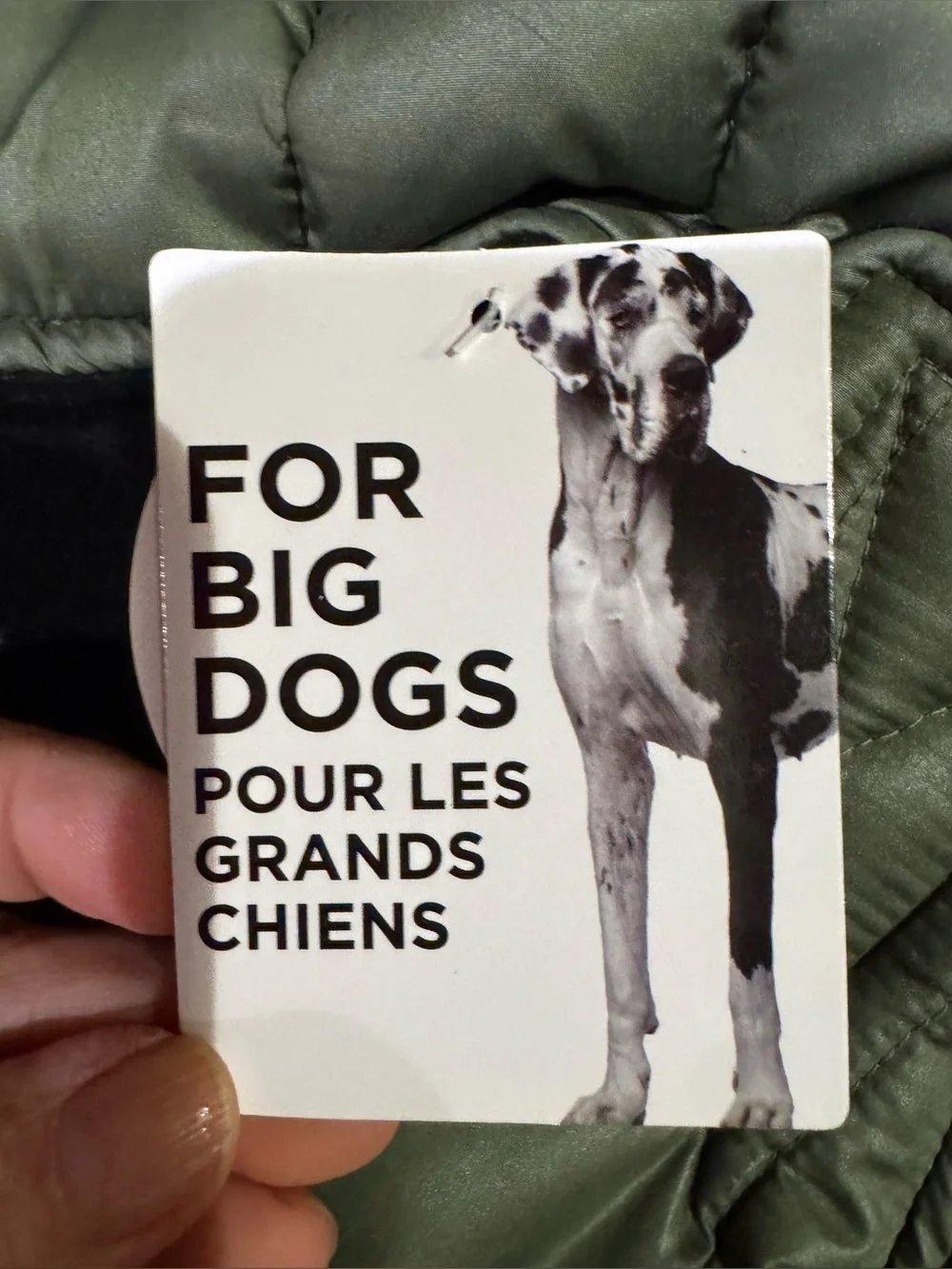 N/A dog coat