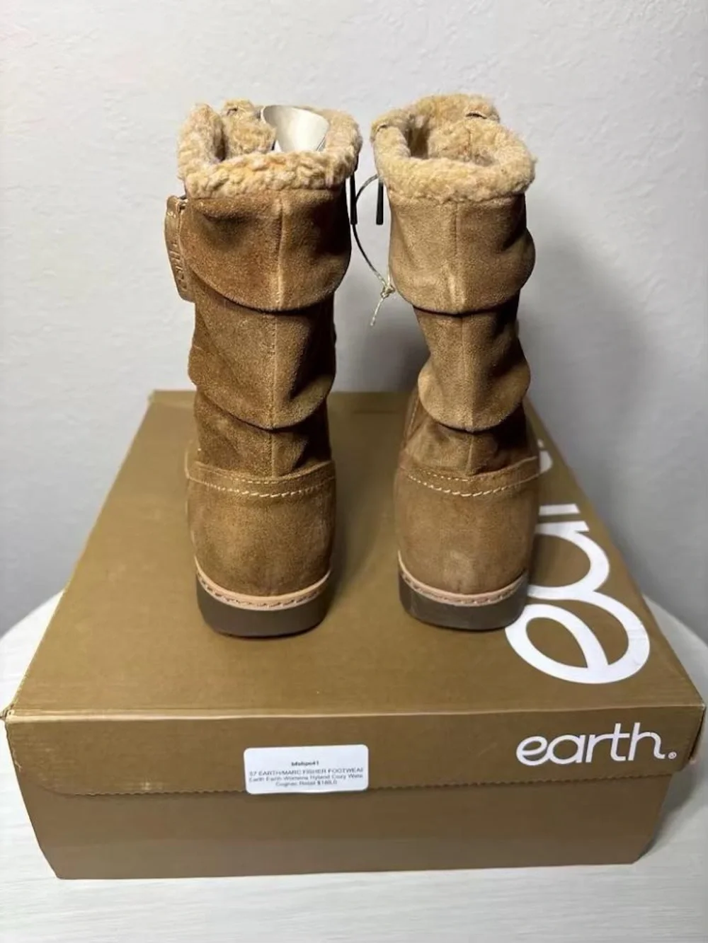 Earth item details