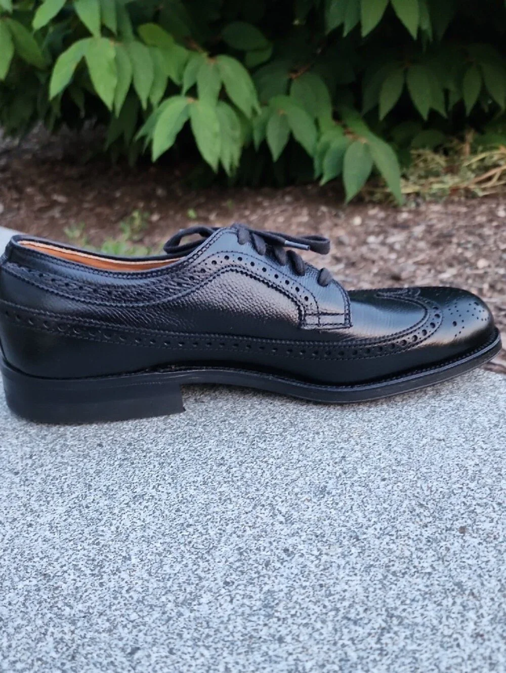 Alden elegant black