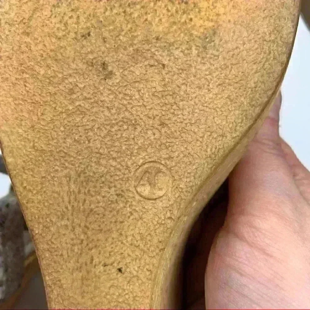Lorenzo Chelini lorenzo chelini