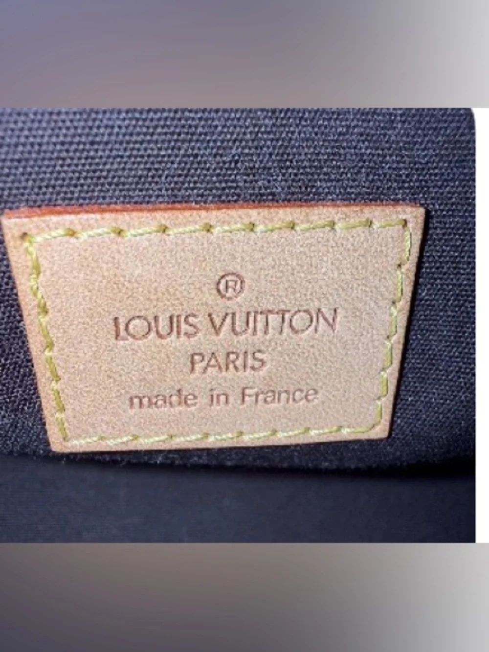 Louis Vuitton embossed roxbury