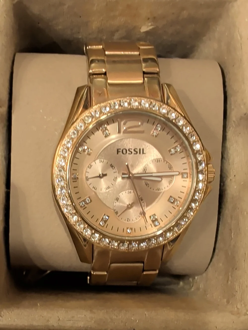 Fossil plastic description