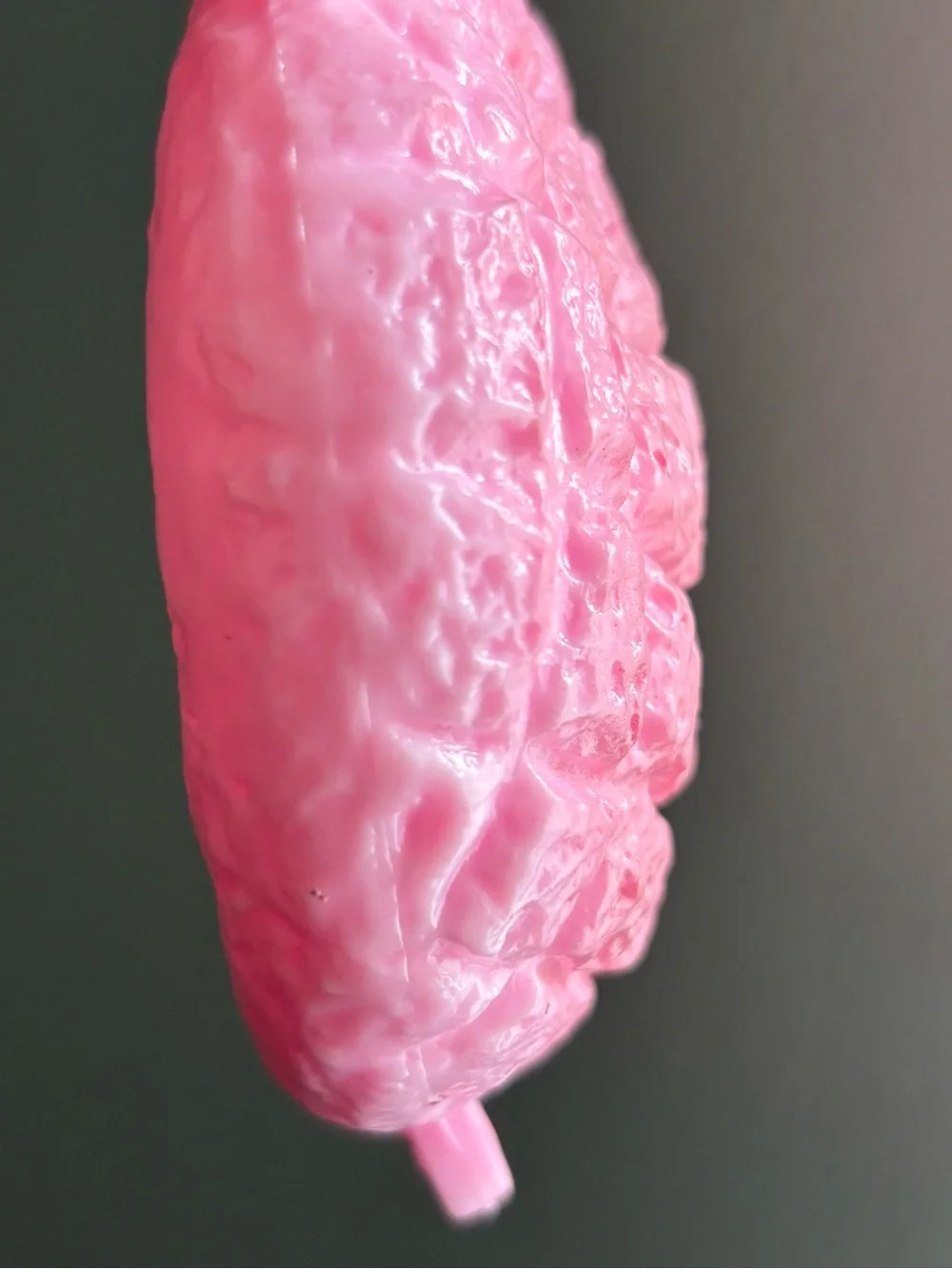 N/A squishy nwot skin
