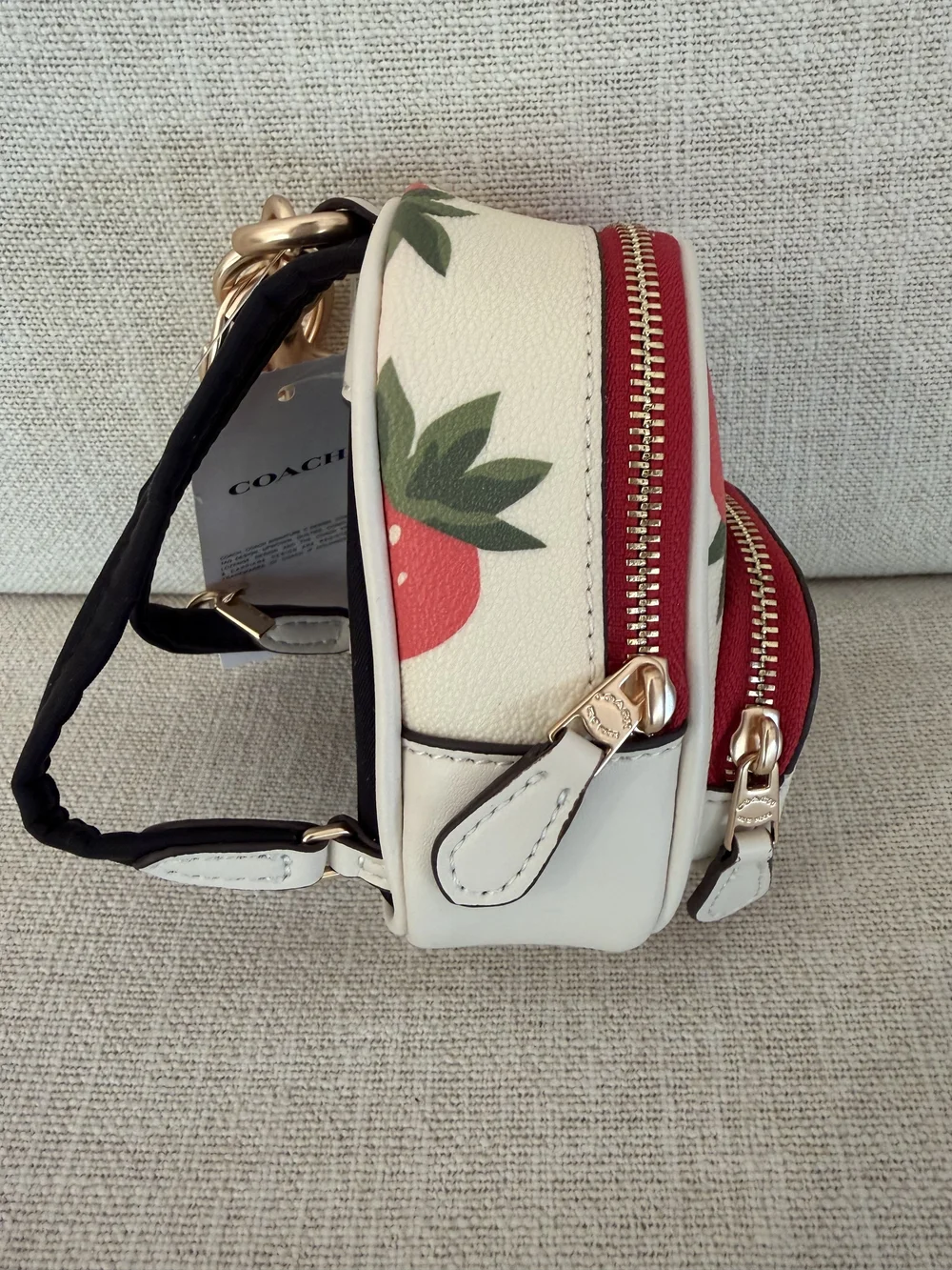 Coach mini backpack