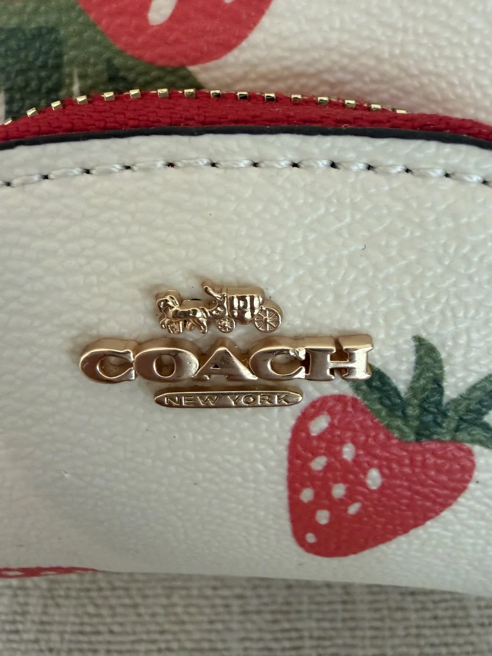 Coach mini backpack