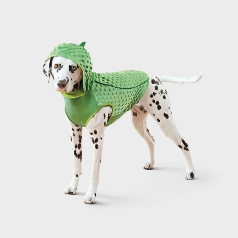 NWT Pickle Hoodie