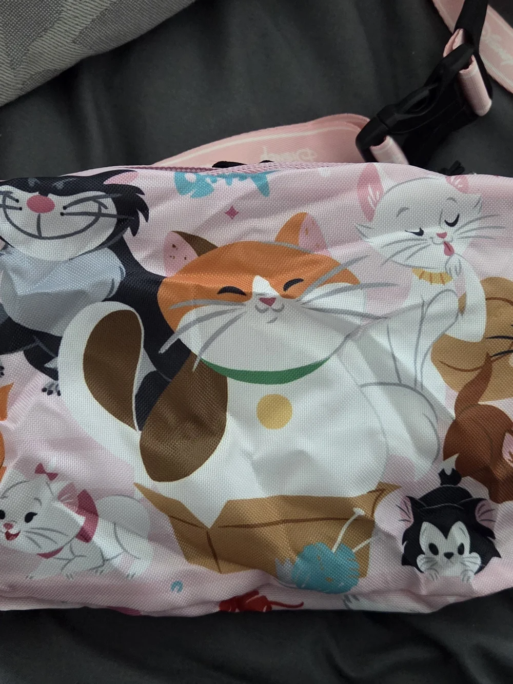 Disney adorable pink