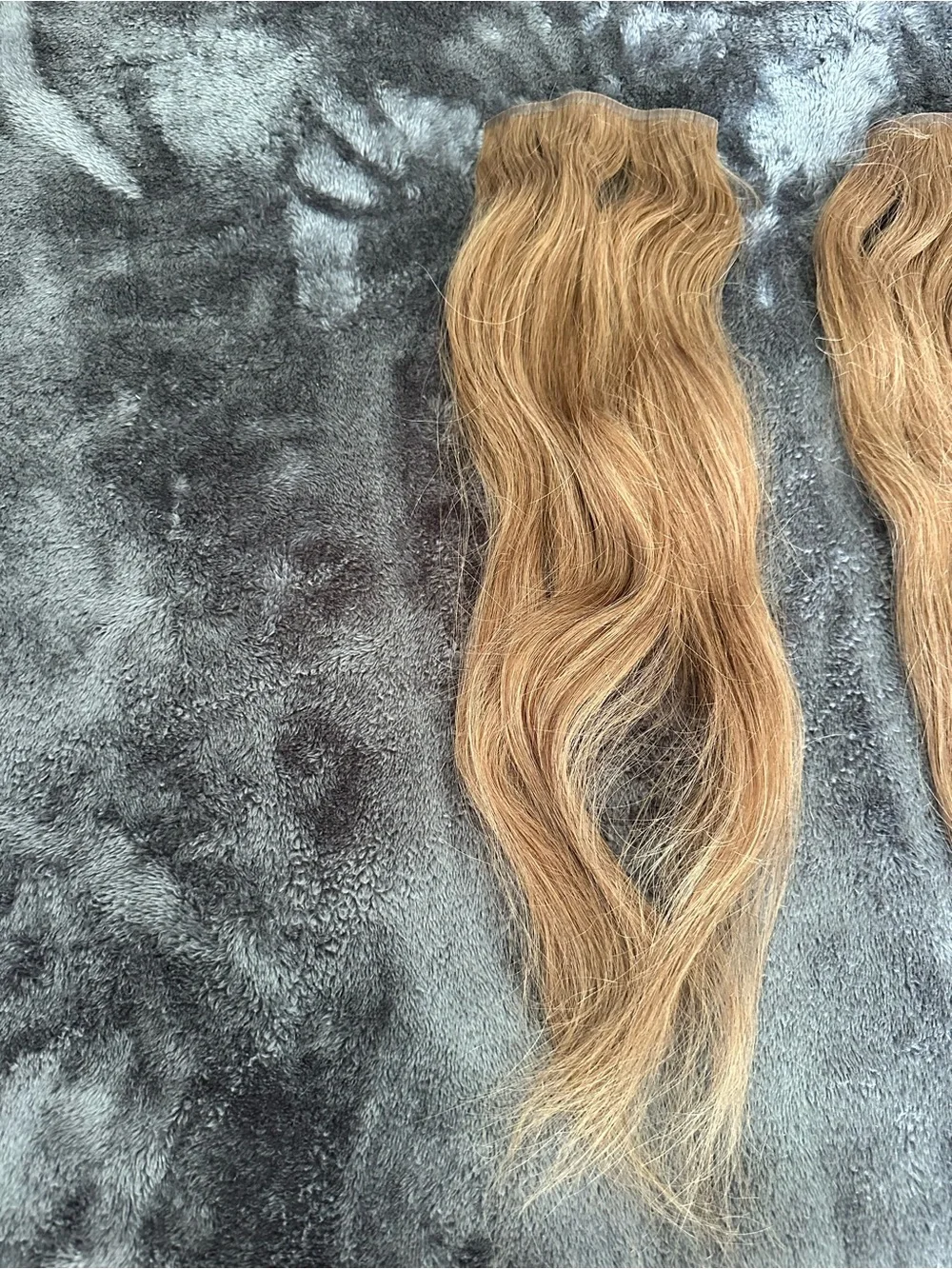 BELLAMI chestnut brown