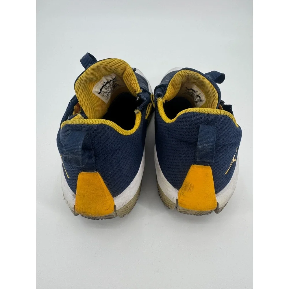 Air Jordan Jumpman Hustle AQ0397-401 Mens Sneaker 10.5 White Navy Michigan Shoes