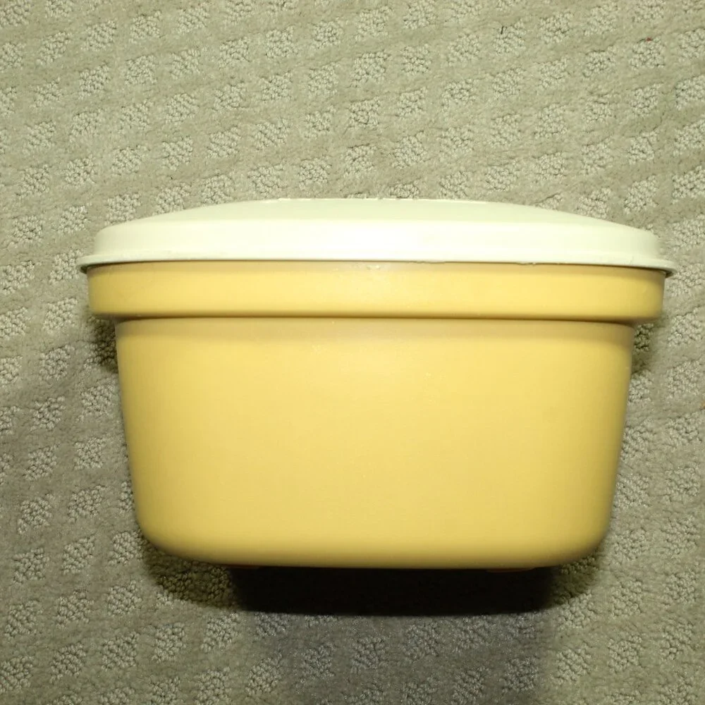 Tupperware this vintage