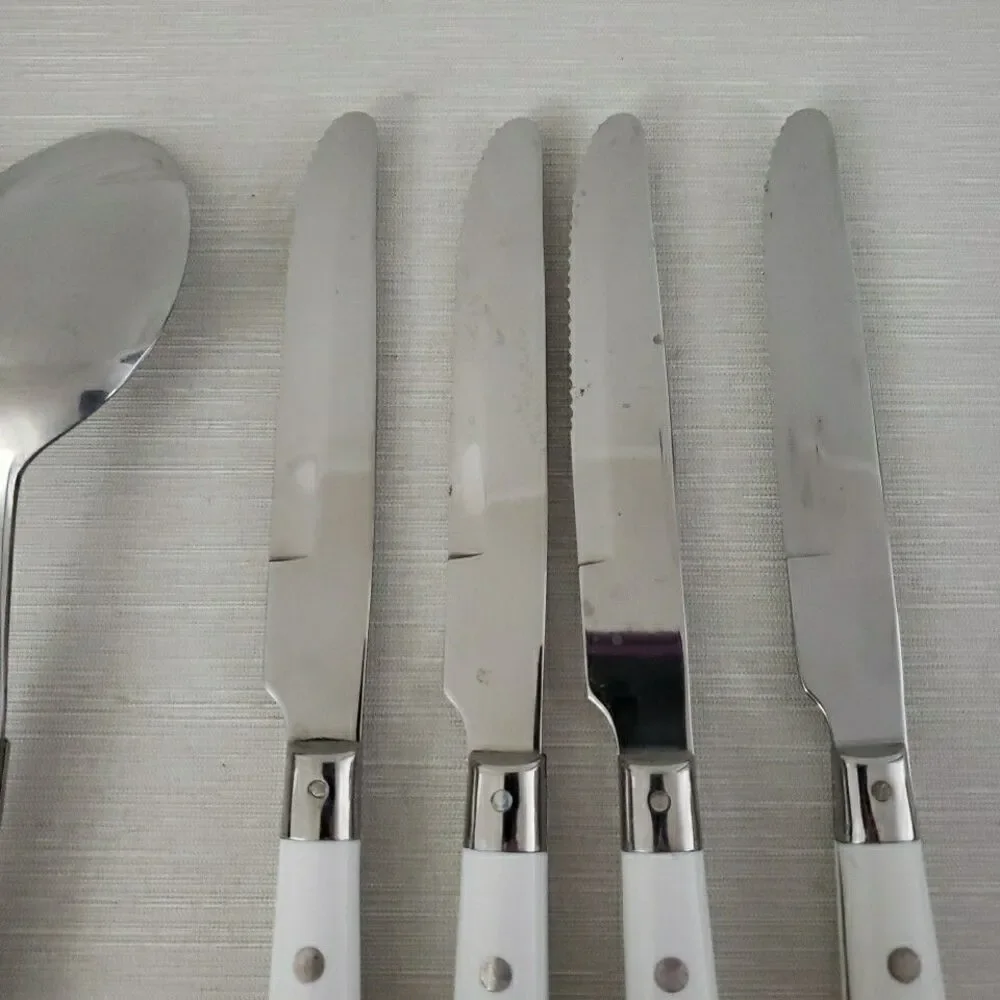 Dolly Parton lifetime stainless