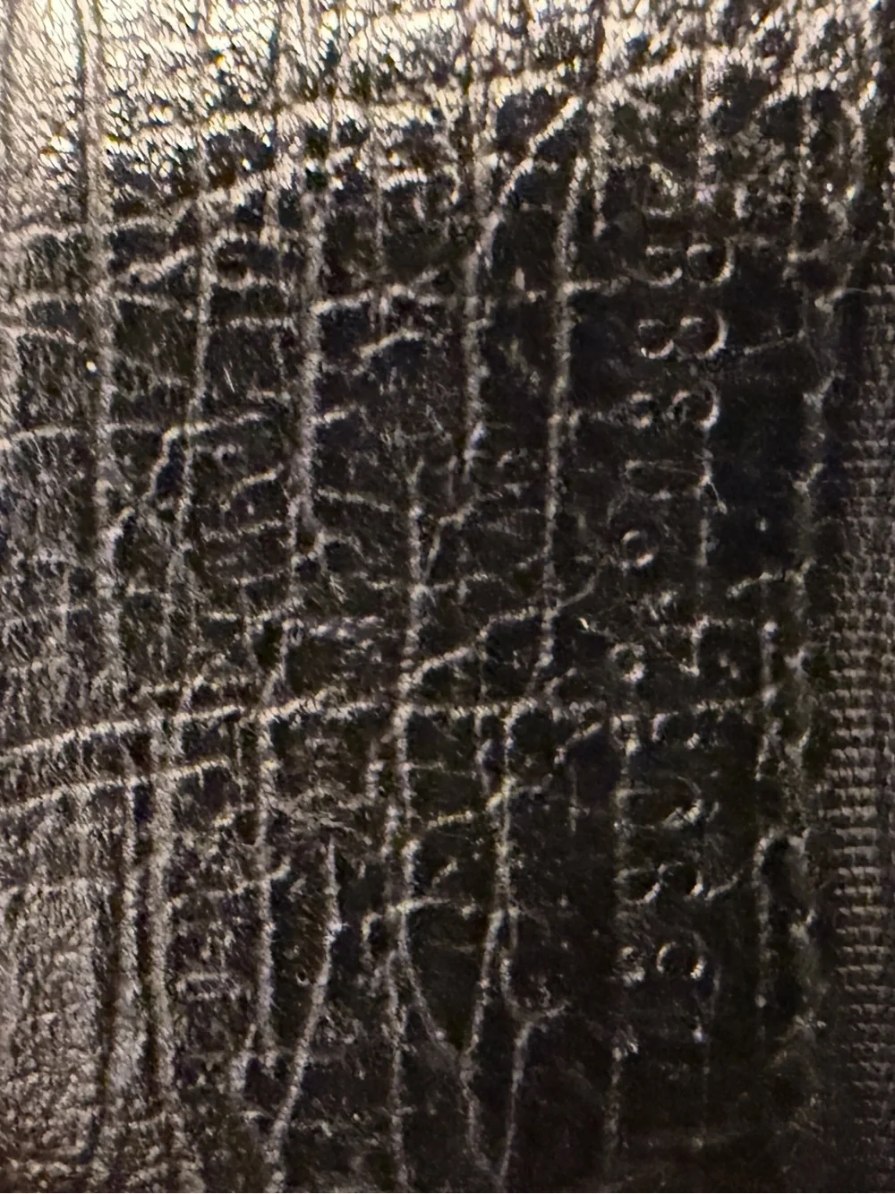 Gucci black canvas