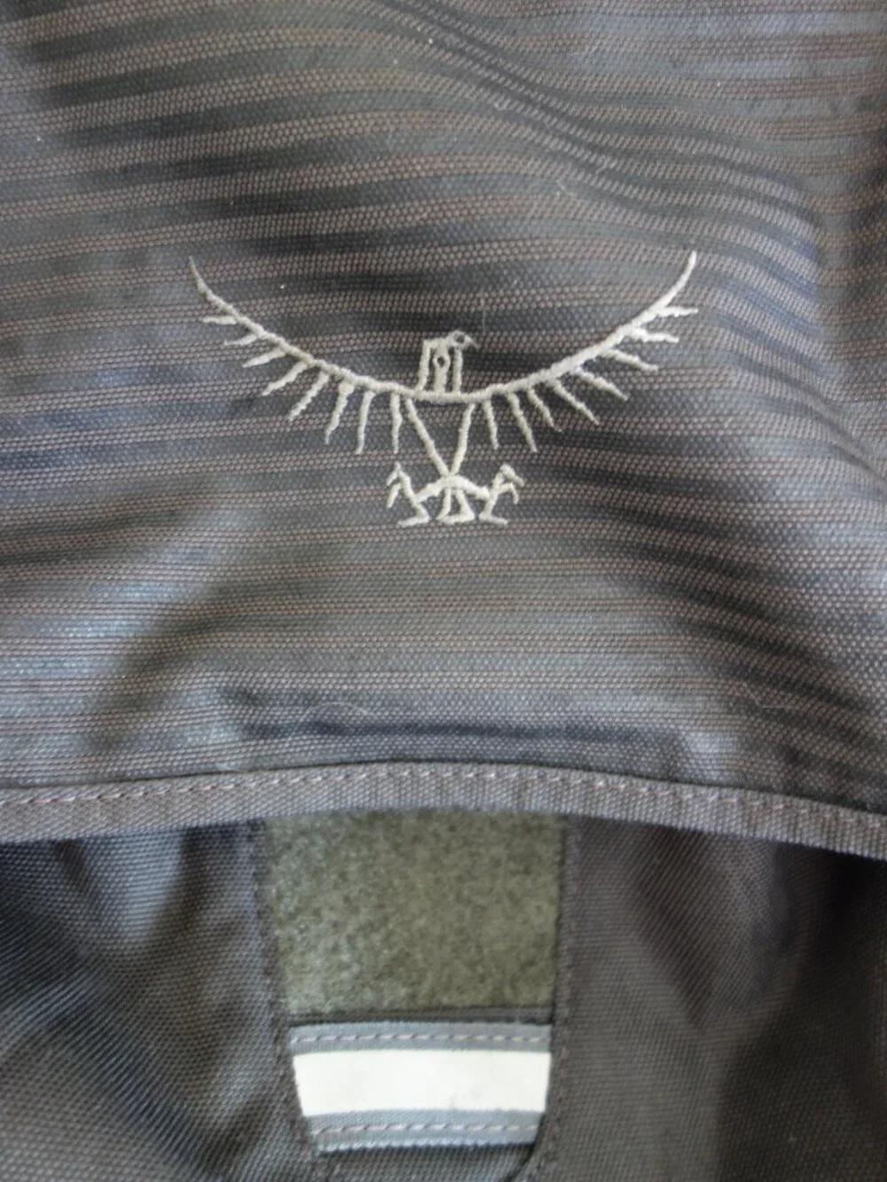 OSPREY black lime