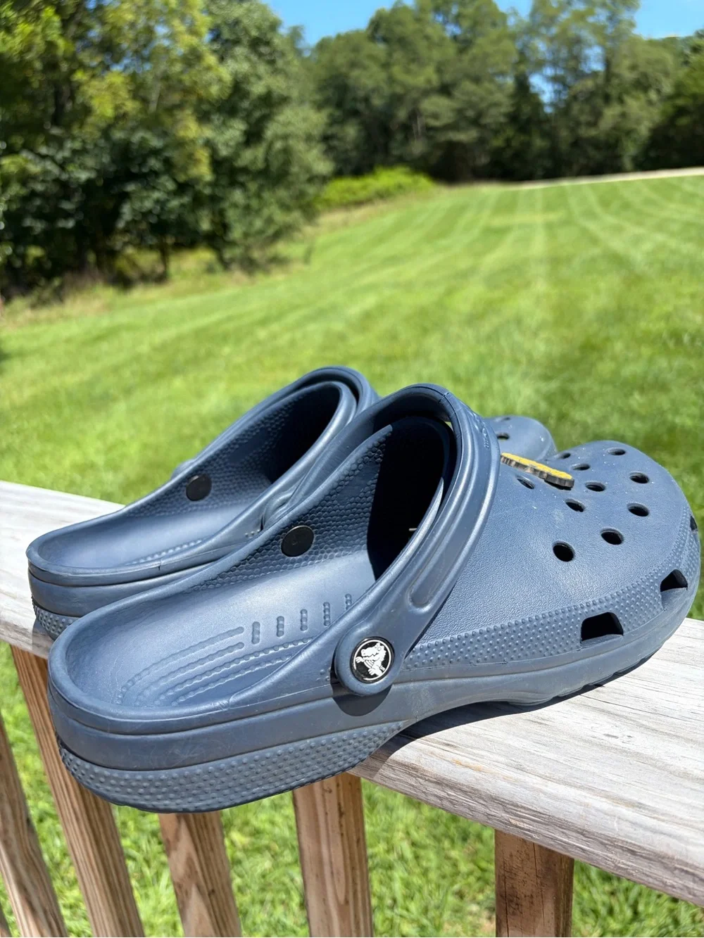 CROCS this pair