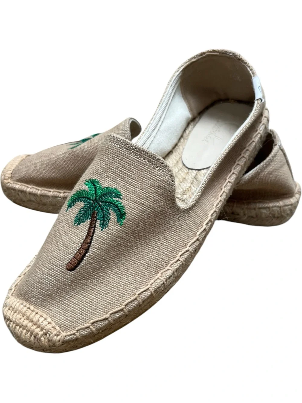 Sea Star cute canvas