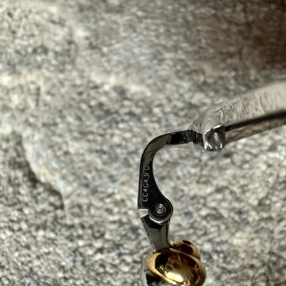 Cartier authentic ct0090s