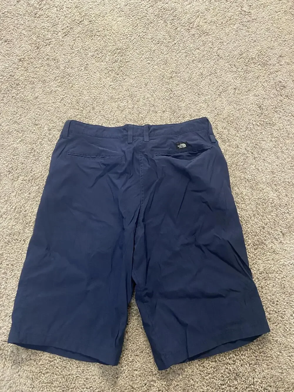 The North Face brand north