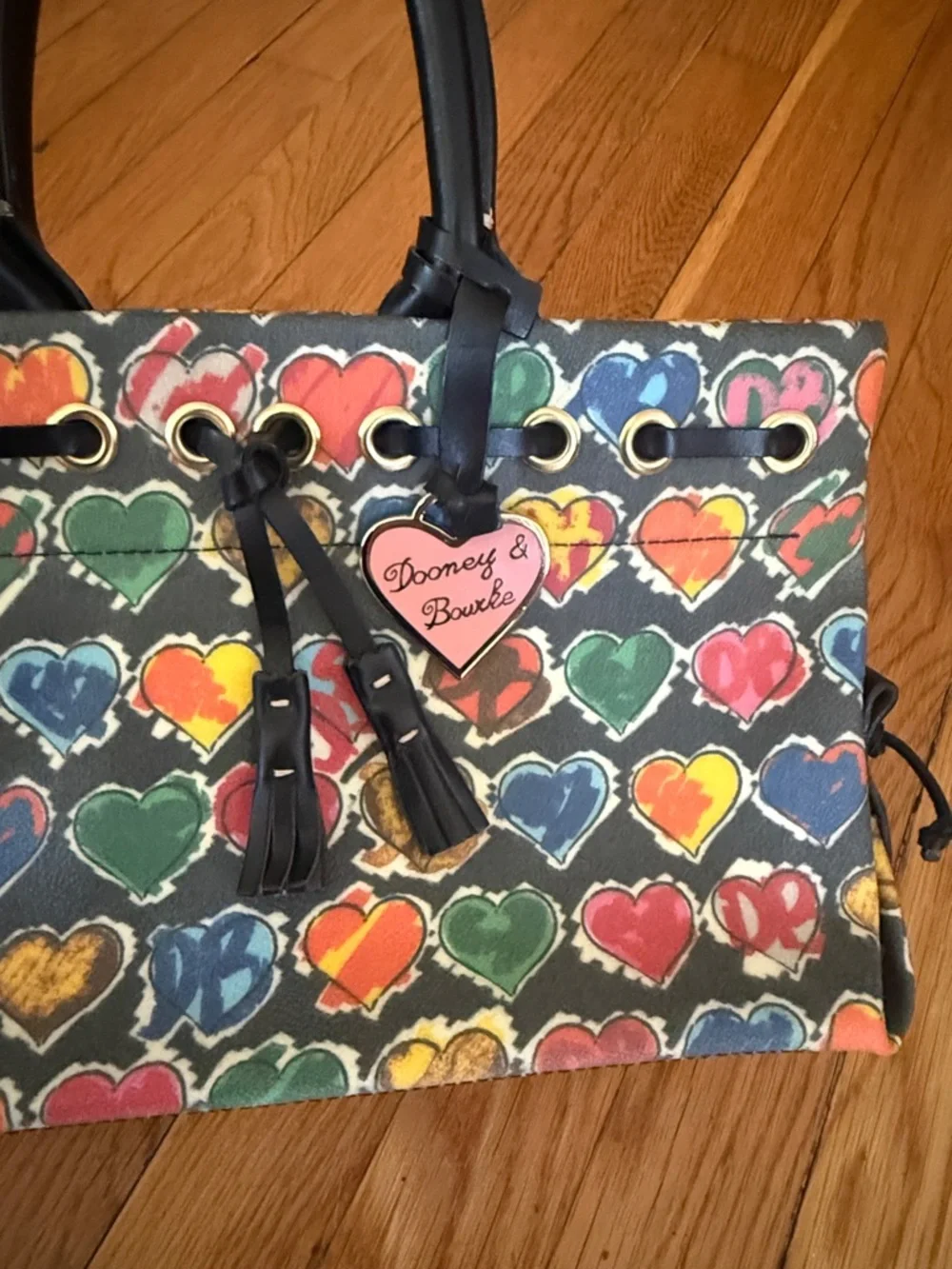 Dooney & Bourke stylish multicolor