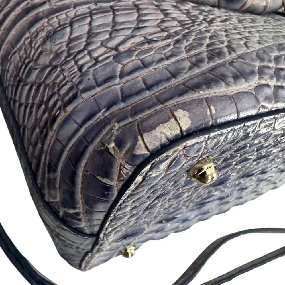 Brahmin rare purple