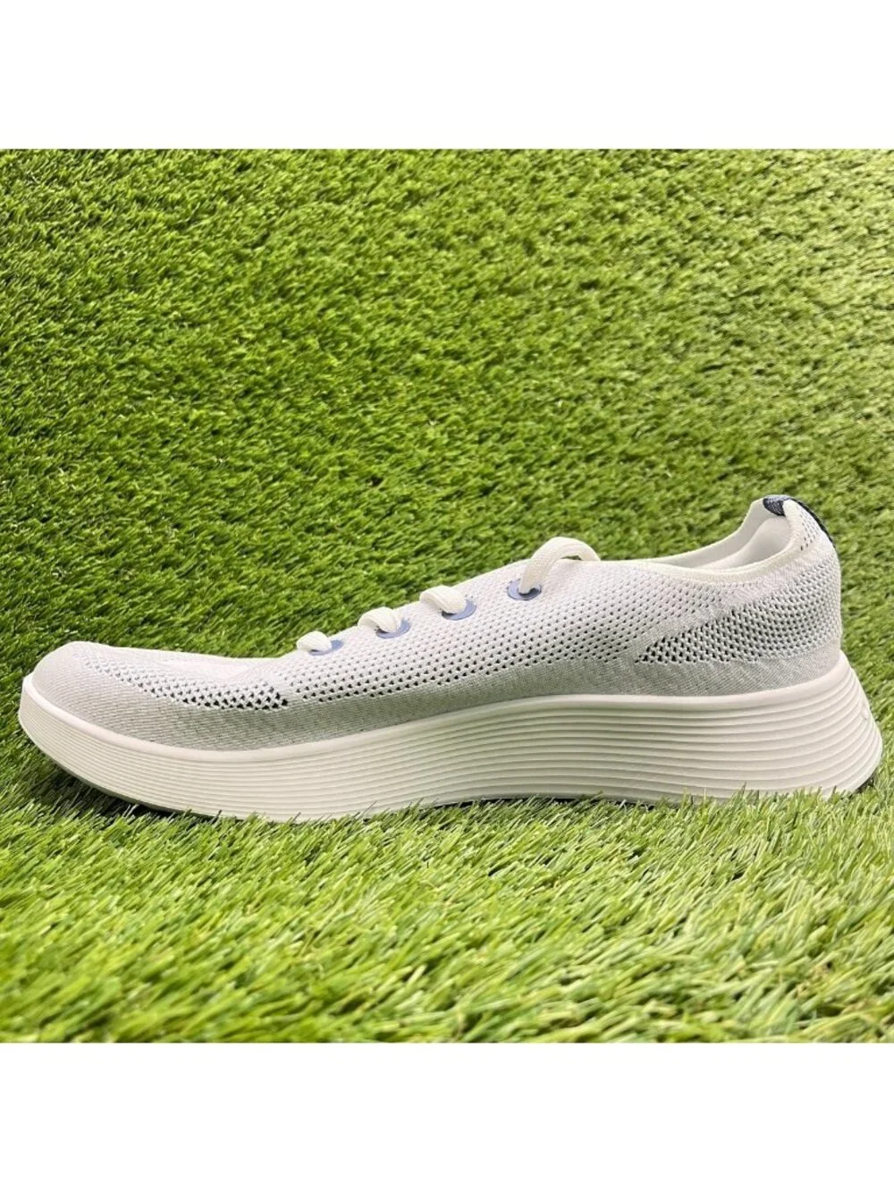 allbirds please review