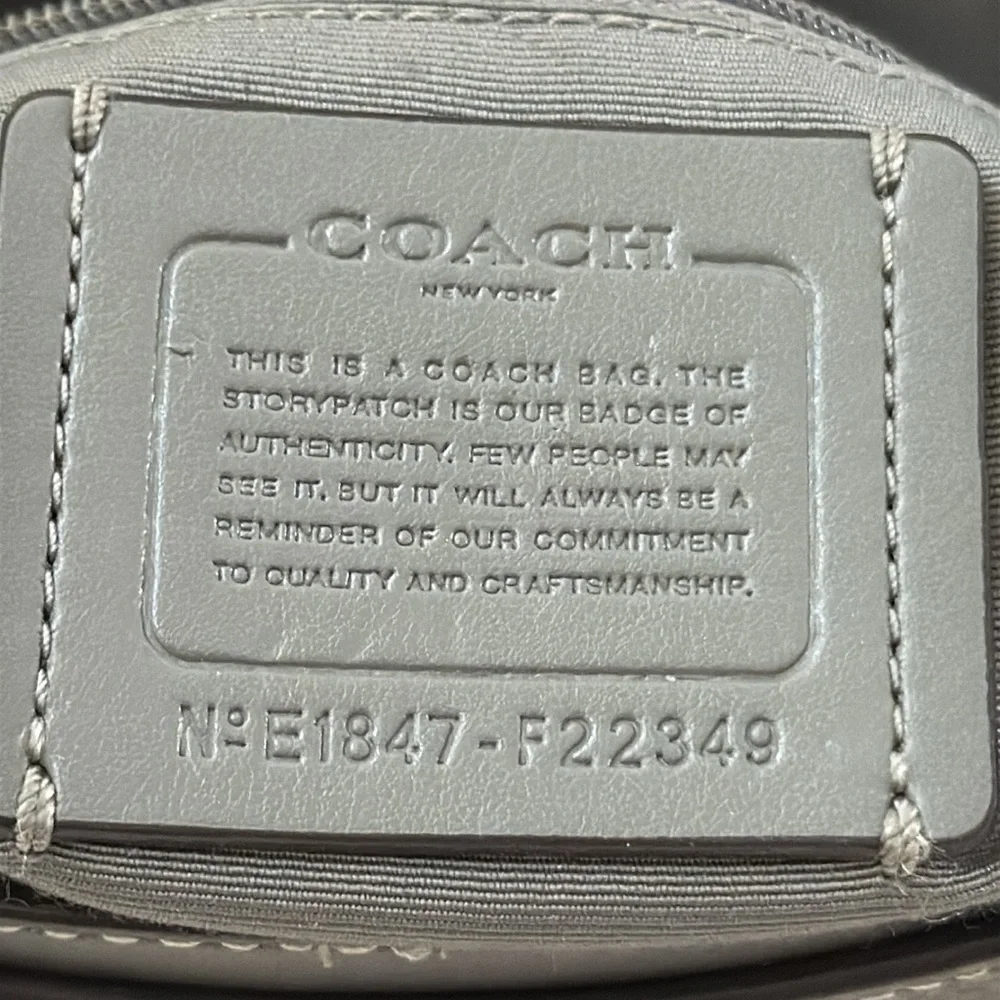 Coach Faye Leather Suede Crossbody Bag with Silver Chain Style F22349
