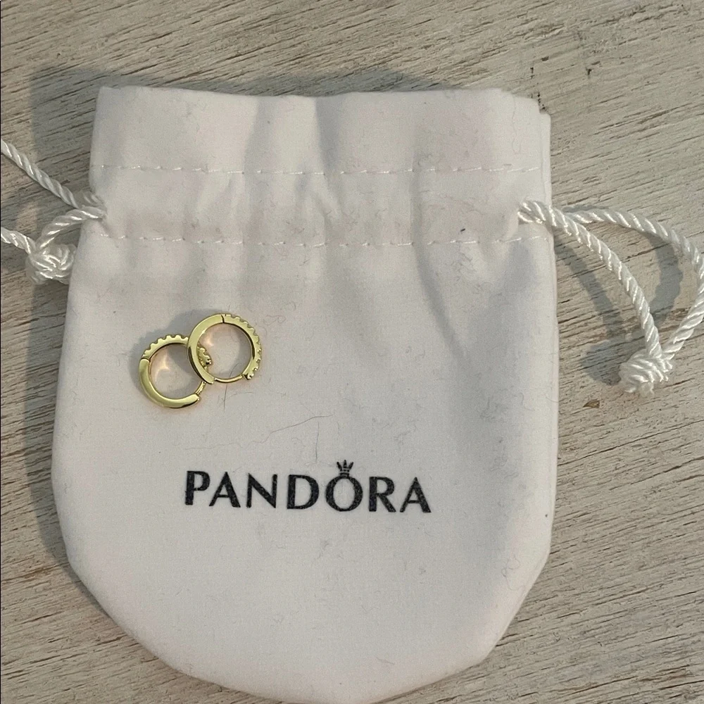 Pandora chic mini