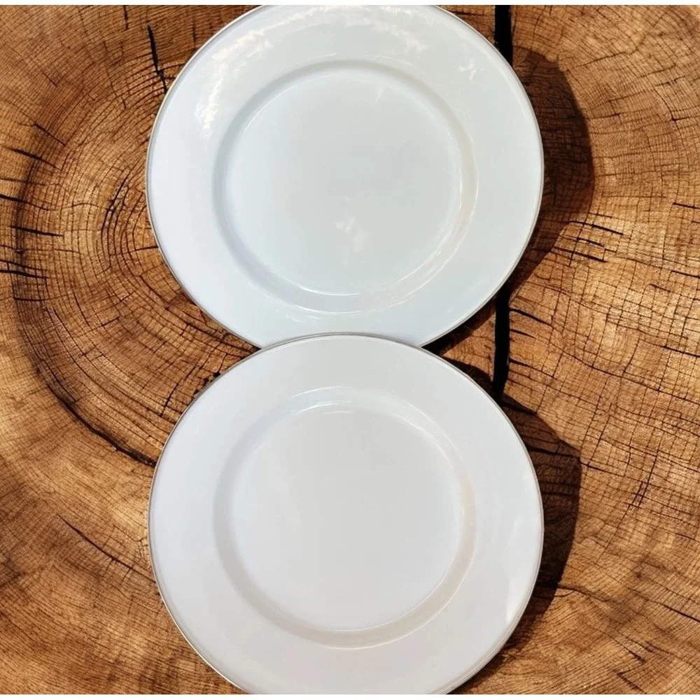 Discontinued Pottery Barn Enamelware Chargers Plates 12