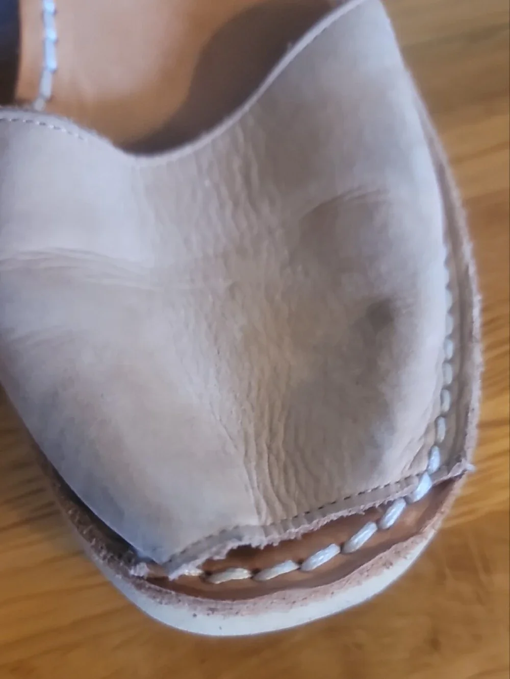 calaxini neutral taupe
