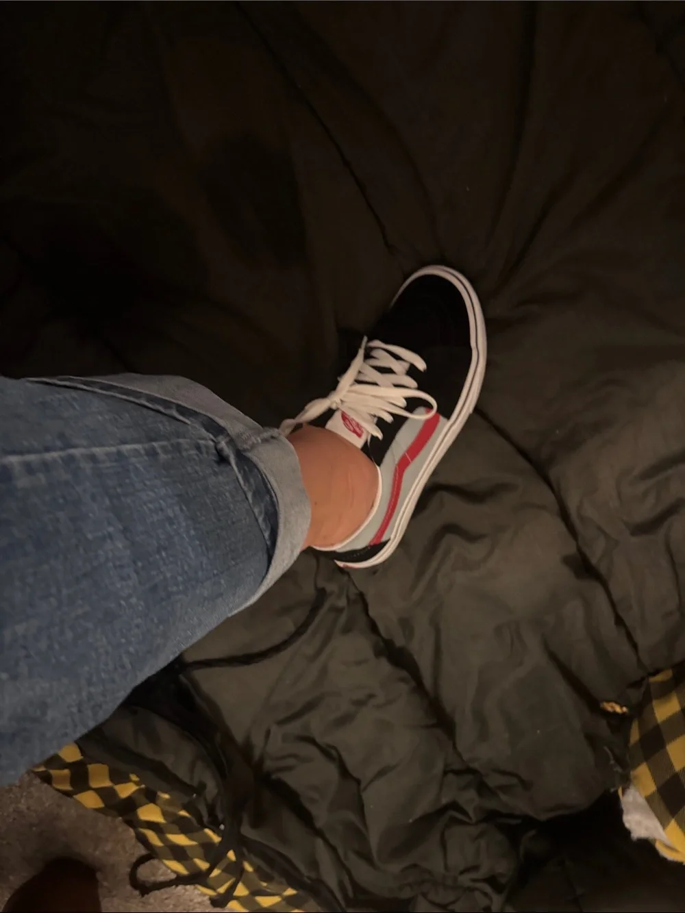 Vans low top