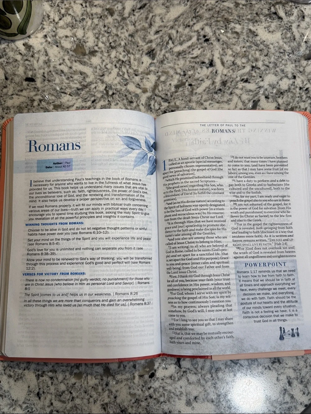 Joyce Meyer battlefield mind
