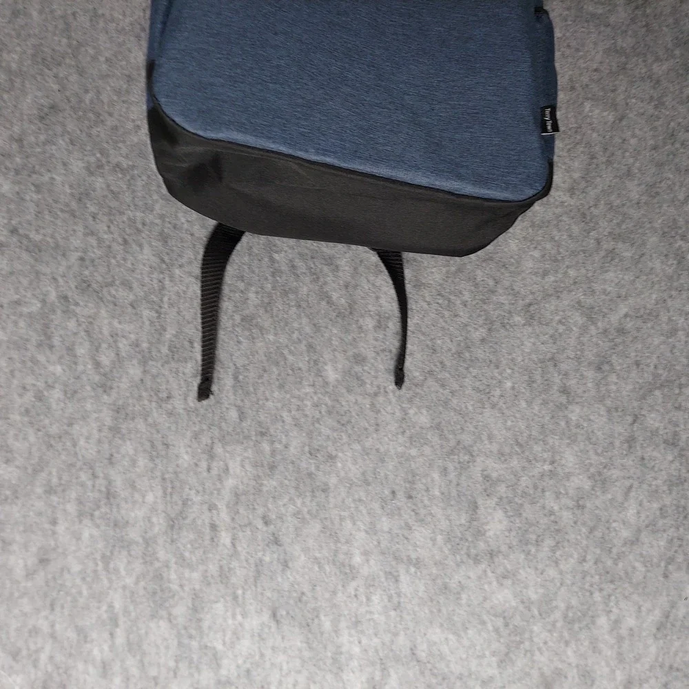 Disney parks backpack