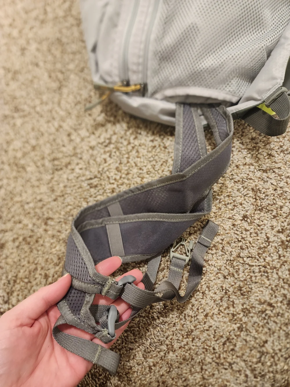 REI no bag