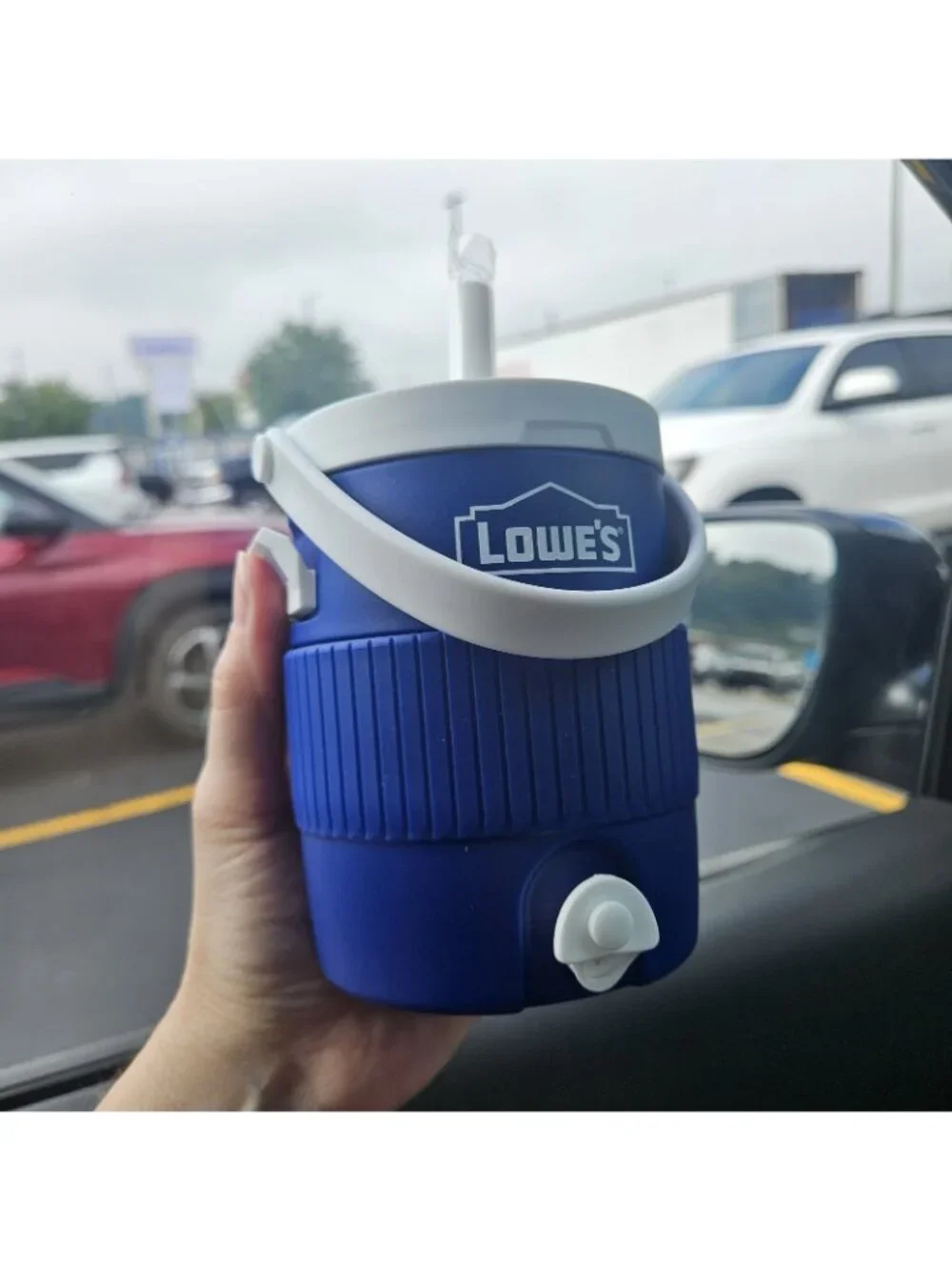 Lowes lowe’s mini