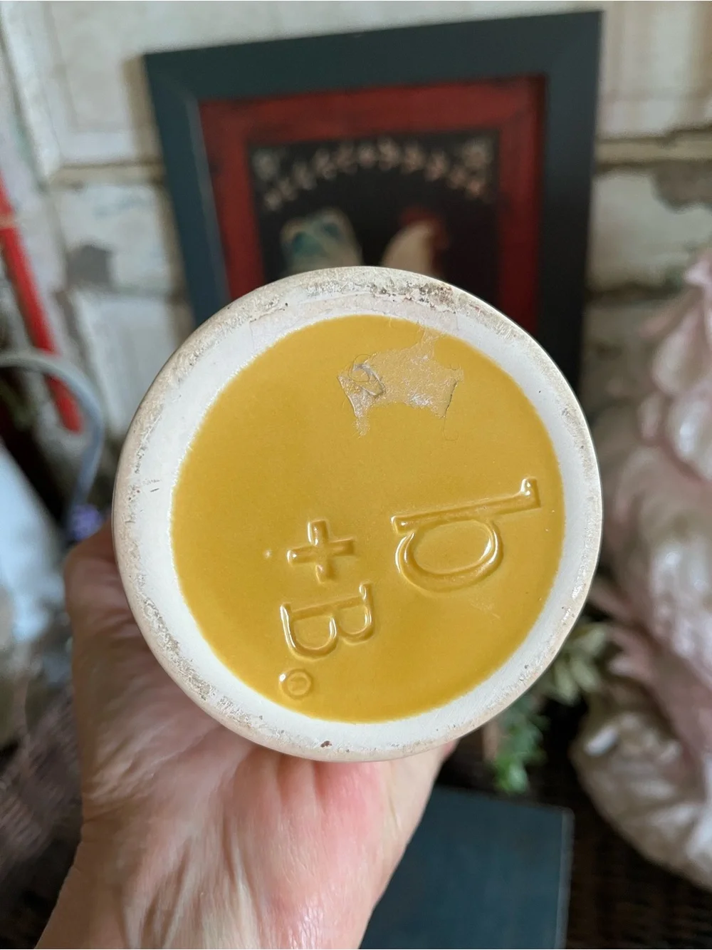N/A beautiful mustard