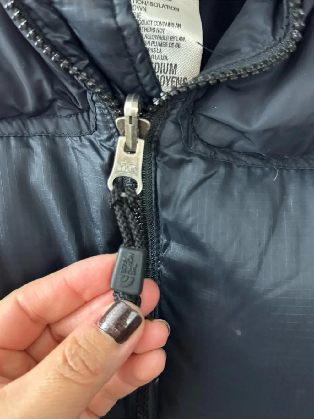 The North Face north face