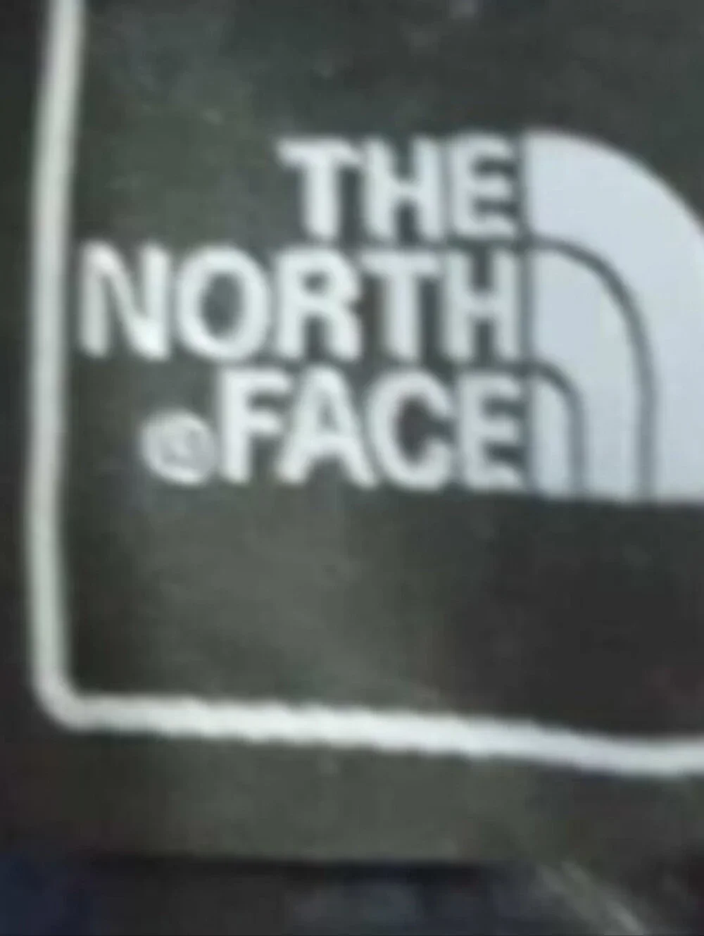 The North Face gently used