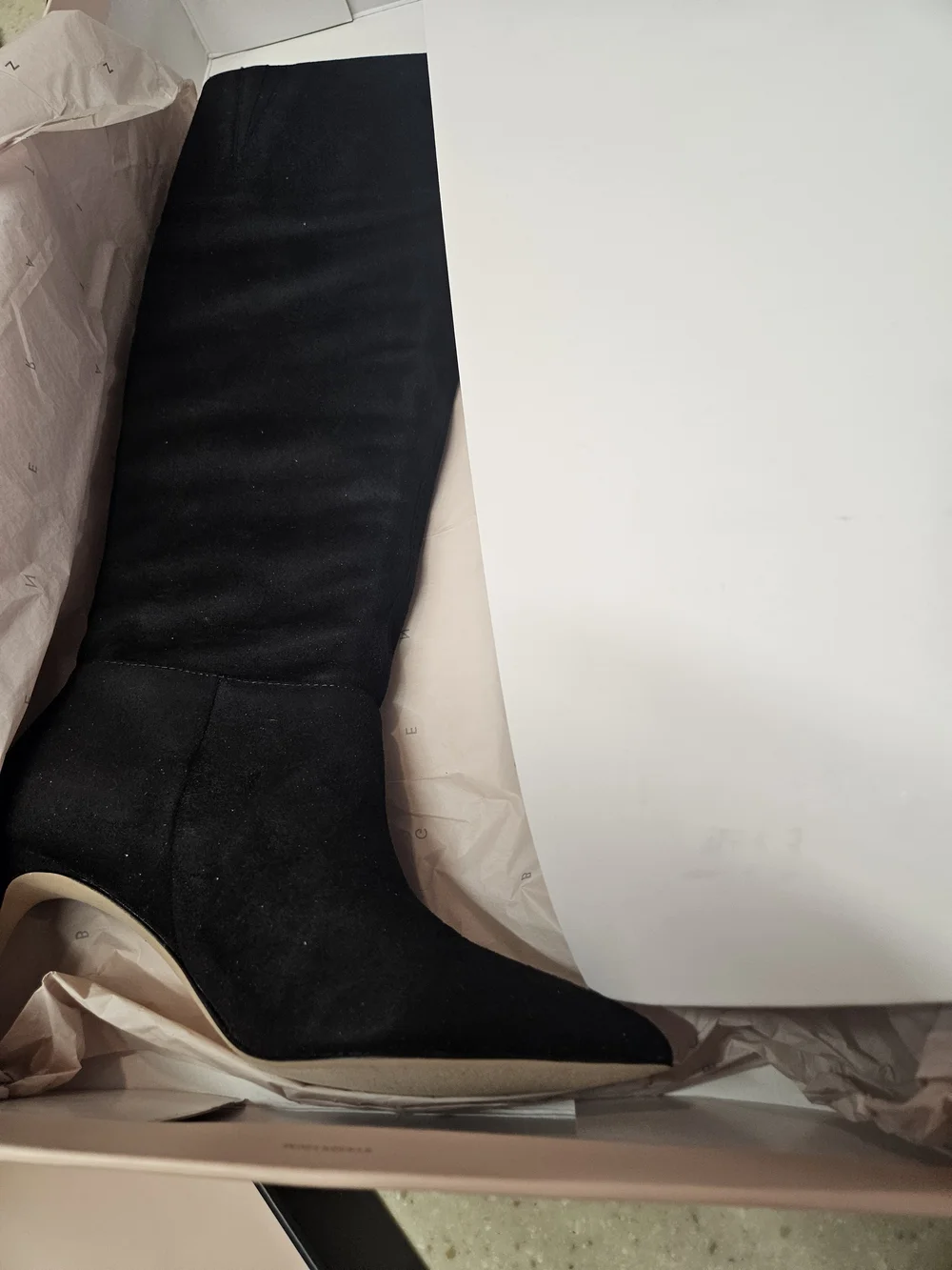 BCBGeneration sophisticated knee