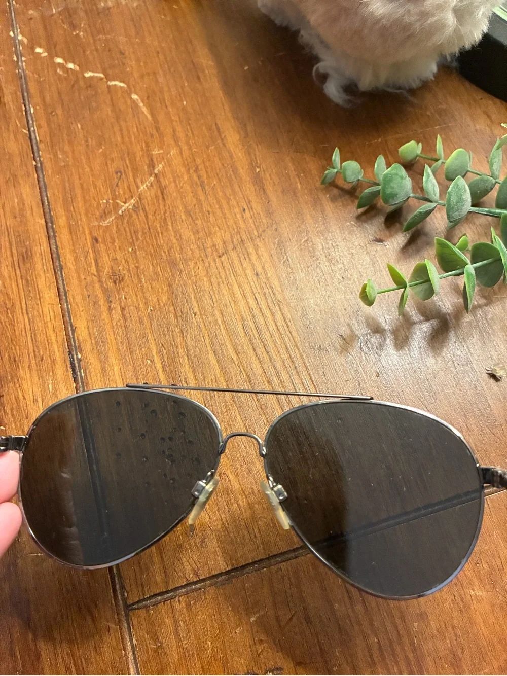 Burberry black aviator