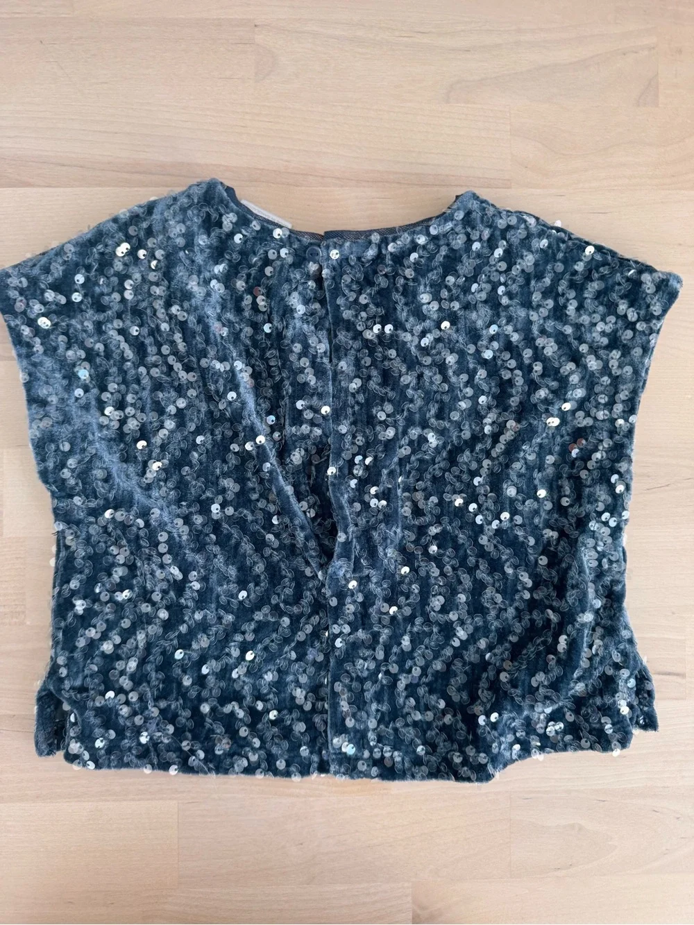 Zara sequin top