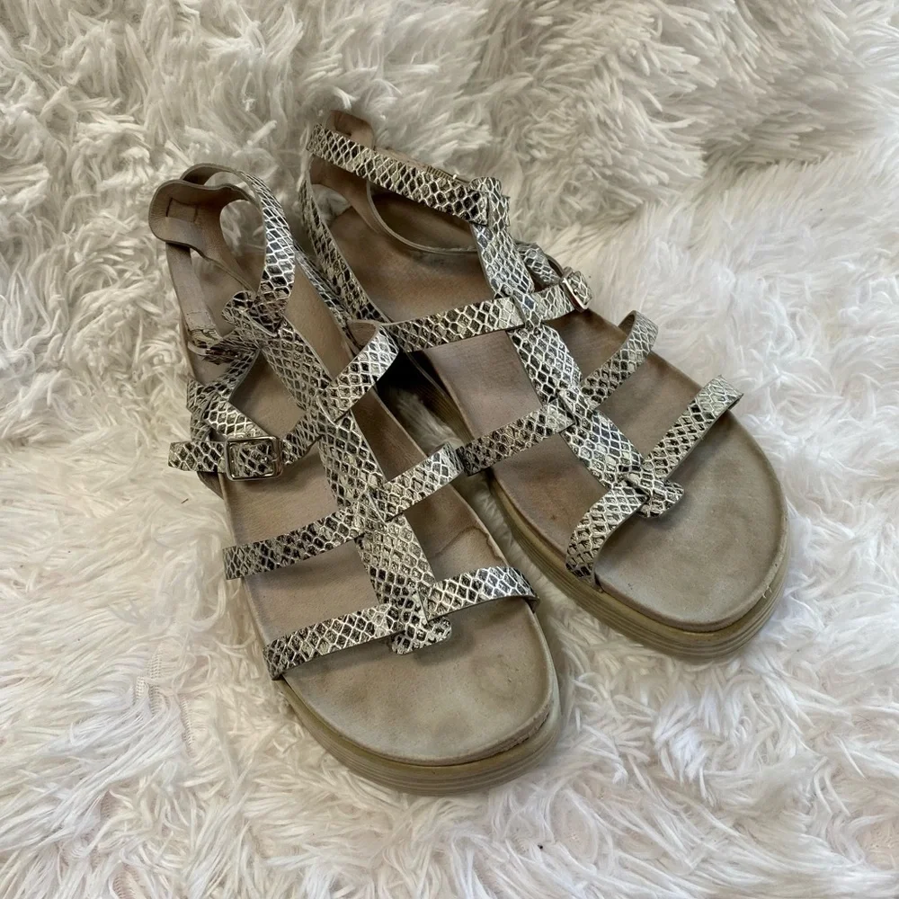 Donald J. Pliner fritz gladiator any