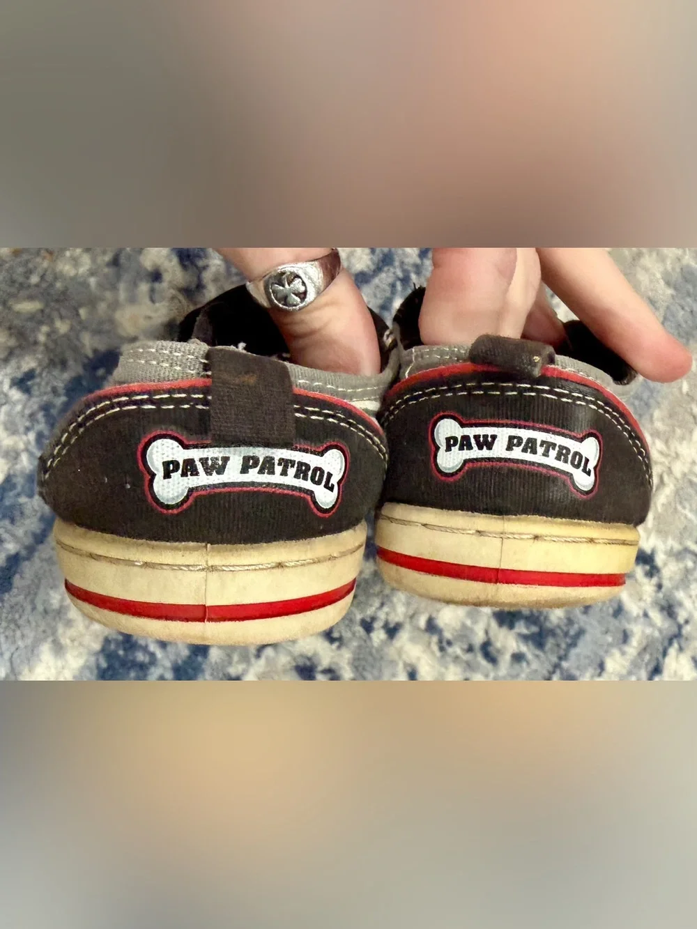 Paw Patrol character details rescue