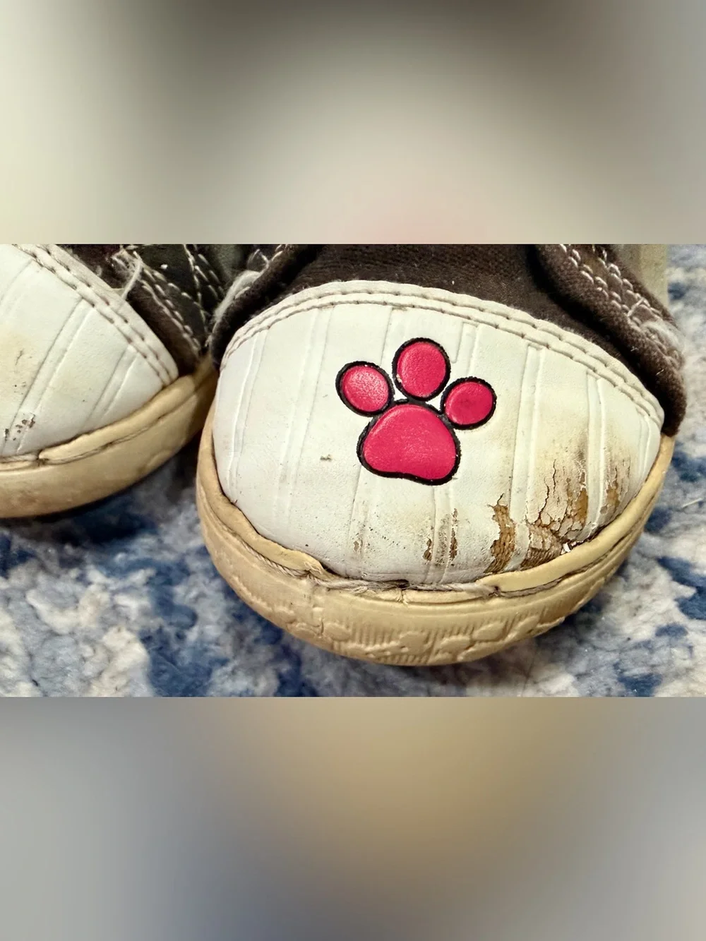 Paw Patrol truck sole slip