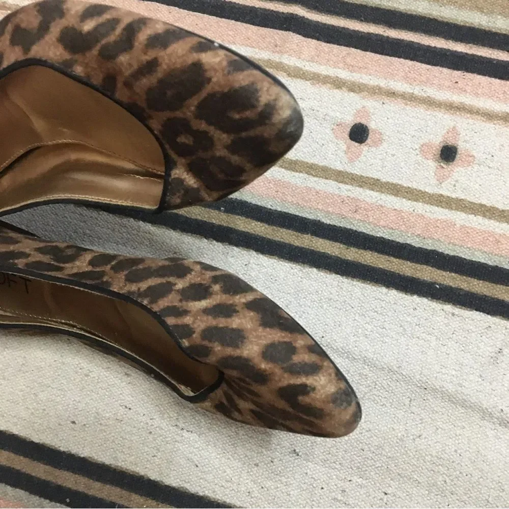 Ann Taylor ann taylor