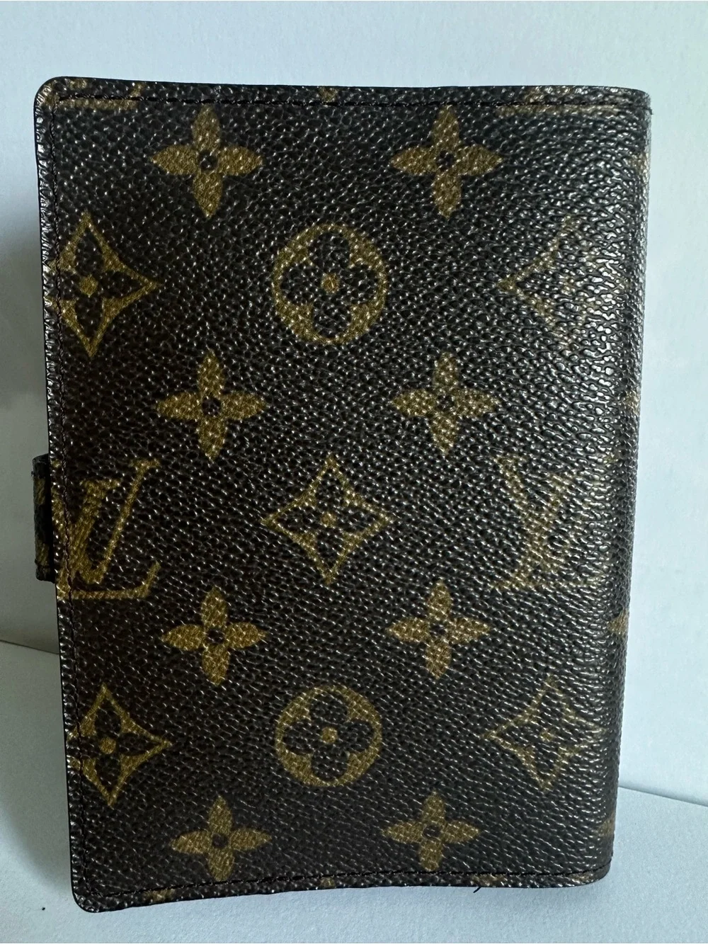 Louis Vuitton authentic louis