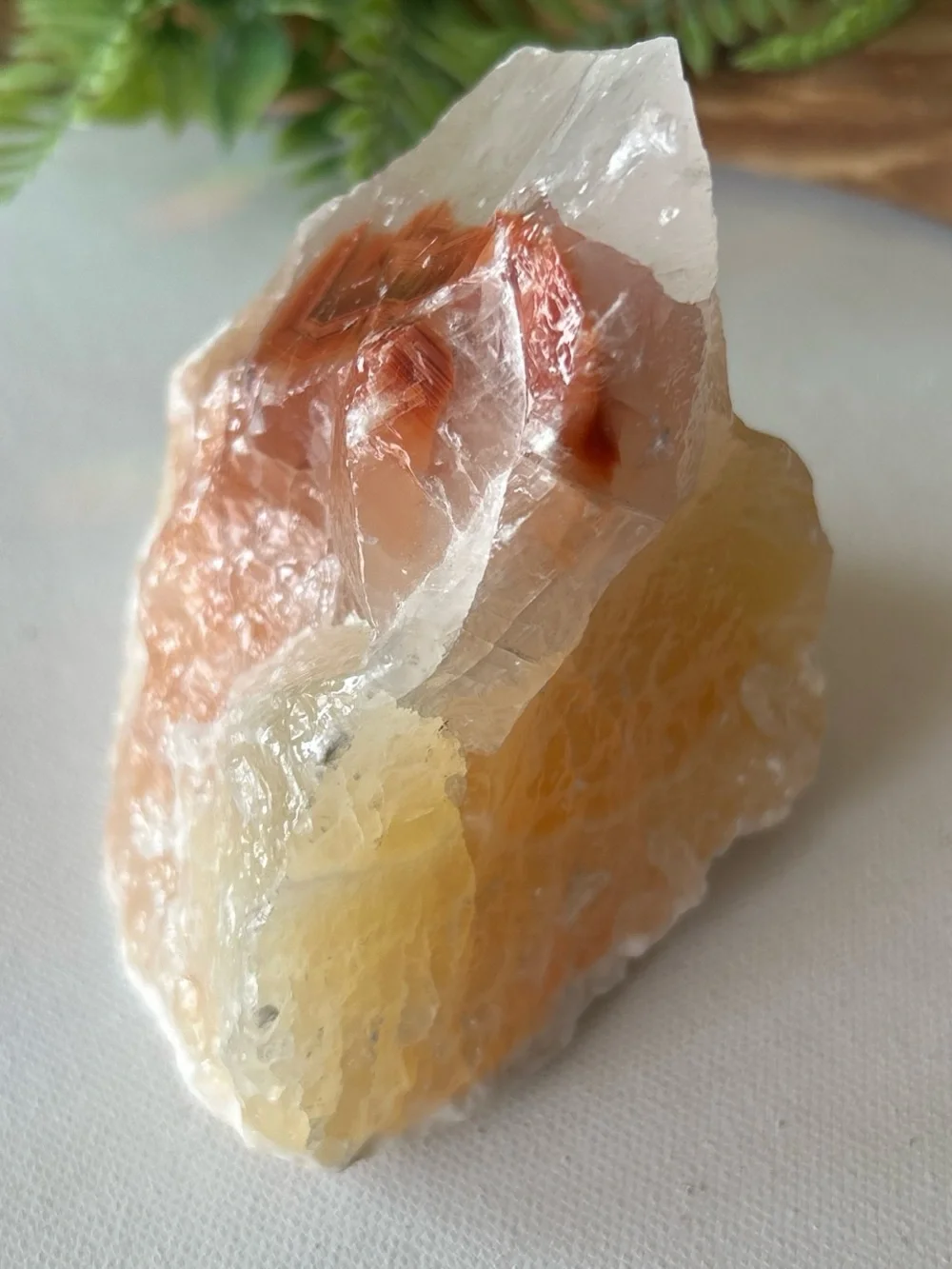 N/A raw tri